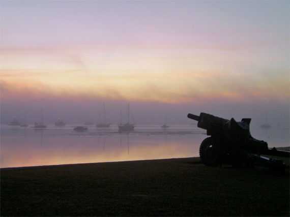 cv examples south africa. regulatory affairs cv example