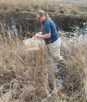 Jennifer Perkins helps protect the ecosystems and endangered species by conducting a Record of Environmental Consideration for the U.S. Dept. of Agriculture Camouflage Research and Development proposed site at Camp Blanding.